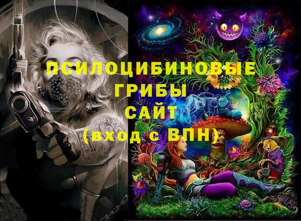 дмт Алзамай