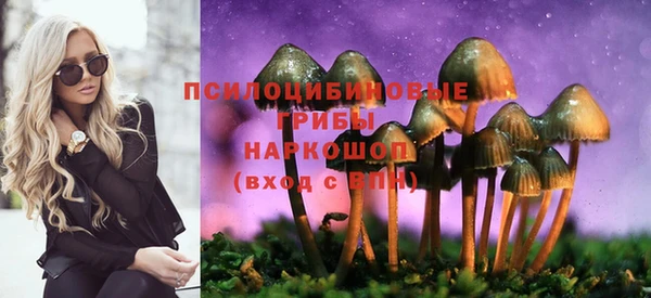 дмт Алзамай